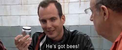 hes got bees